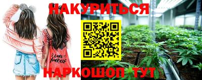 стаф Кулебаки