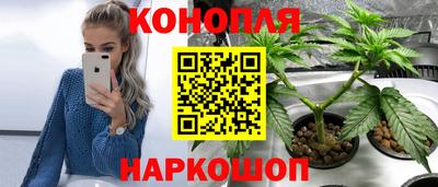 стаф Кулебаки