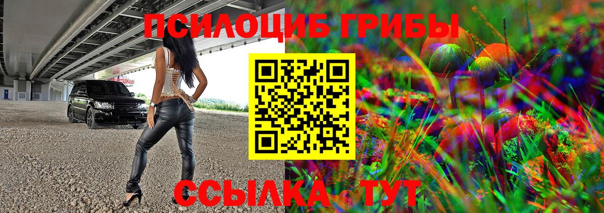 Галлюциногенные грибы GOLDEN TEACHER  Вход с VPN  Галлюциногенные грибы Psilocybine cubensis  Сухой Лог 