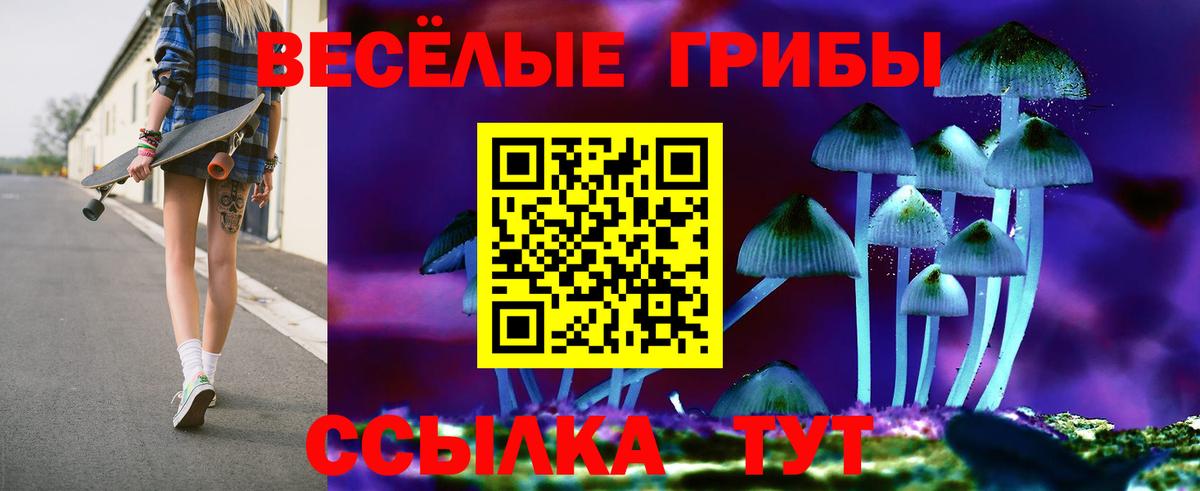 Псилоцибиновые грибы GOLDEN TEACHER Сухой Лог